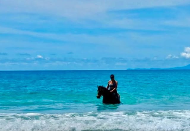 Balades équestres familiales à la plage du Diamant à Le Diamant – Le Guide Timoun