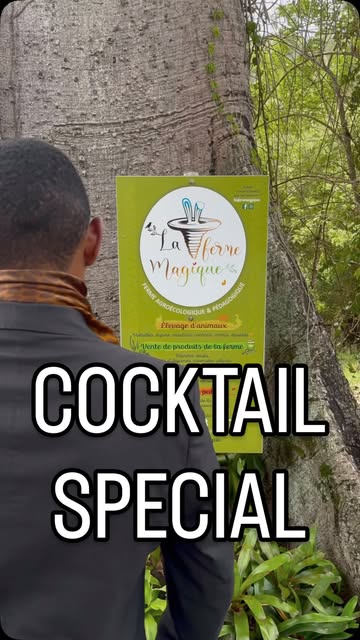 Atelier création de cocktails à La Ferme Magique – Le Guide Timoun